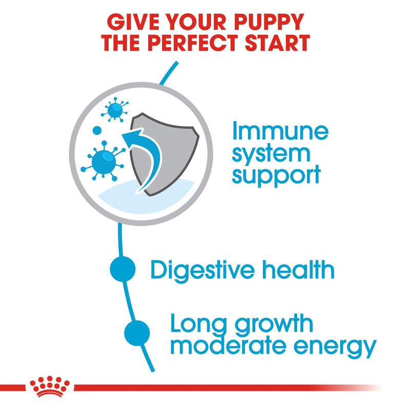 Royal Canin Maxi Puppy (16 KG) - Dry food for large dogs - Adult weight from 26 to 44 KG. From 2 to 15 months - Amin Pet Shop