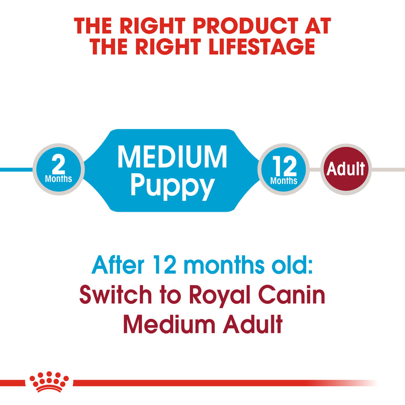 Royal Canin Medium Puppy (4 KG) - Dry food for medium dogs - adult weight from 11 to 25 KG. from 2 to 12 months